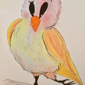 Birdie Bug photo