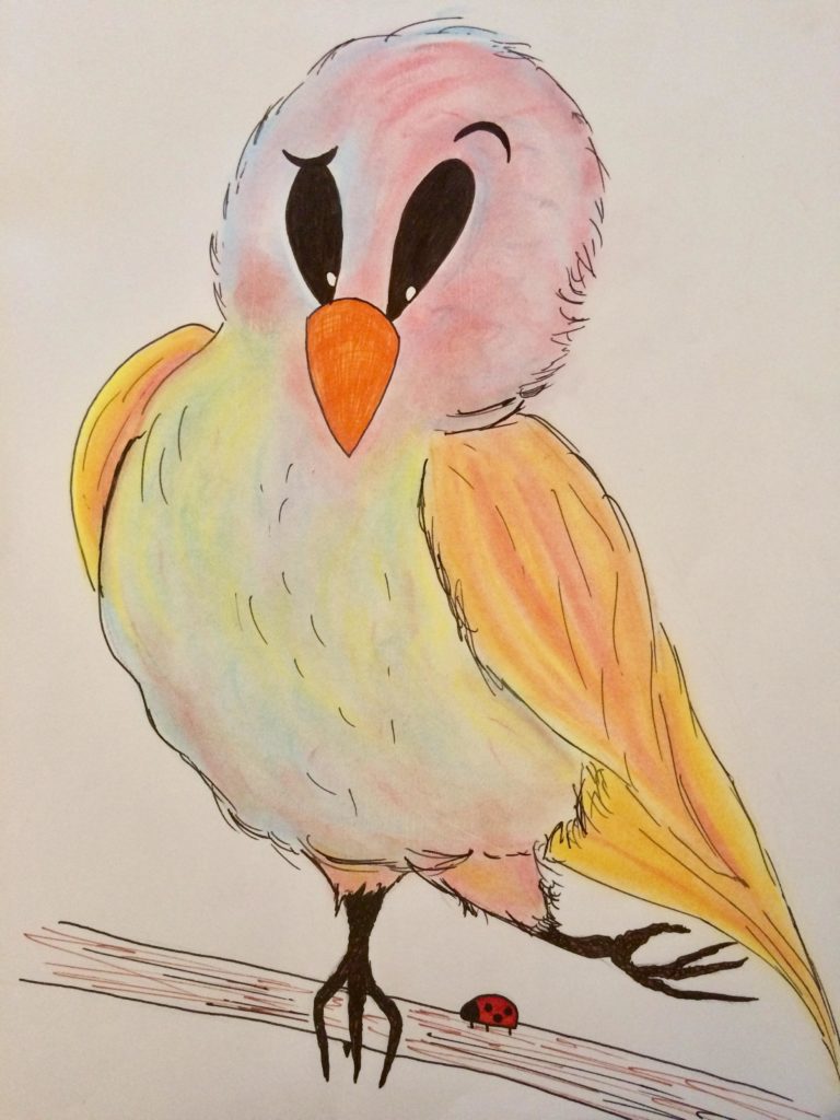 Birdie Bug photo